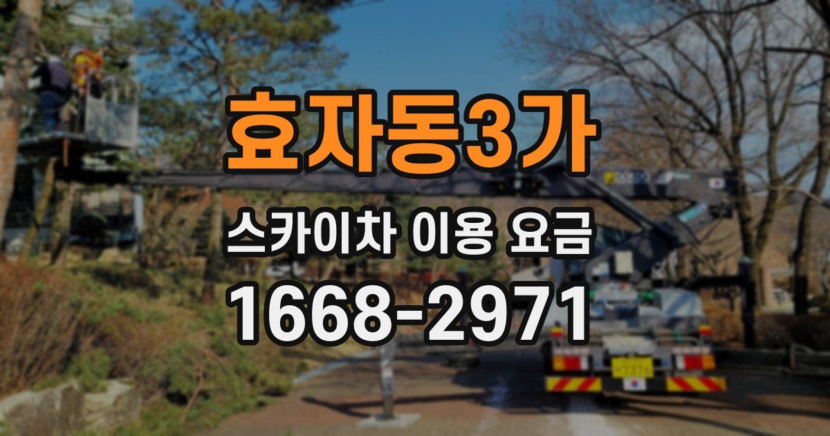 효자동3가 스카이차 이용 요금