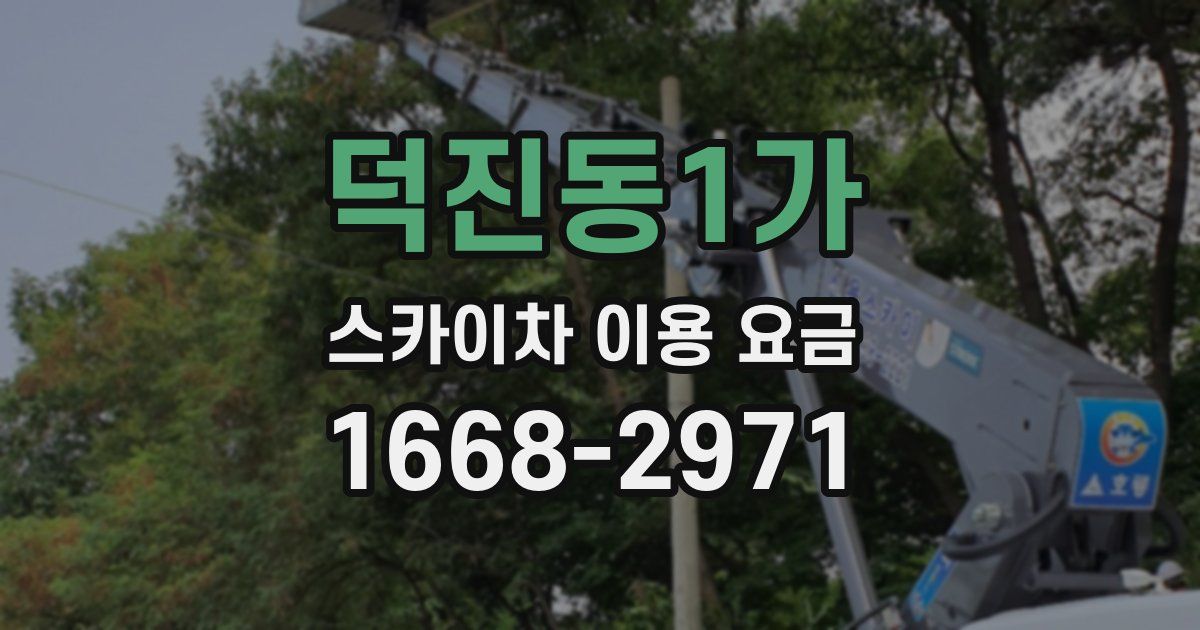 덕진동1가 스카이차 이용 요금
