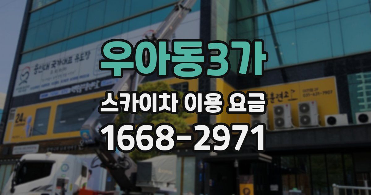 우아동3가 스카이차 이용 요금