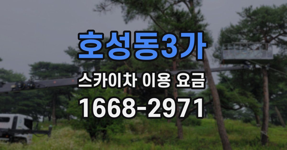 호성동3가 스카이차 이용 요금