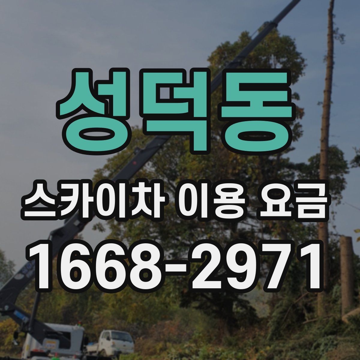 성덕동 스카이차 이용 요금
