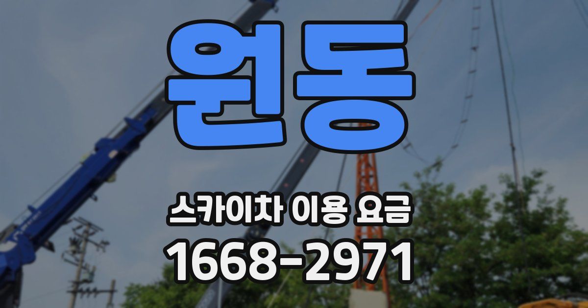 원동 스카이차 이용 요금