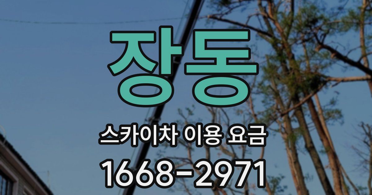 장동 스카이차 이용 요금