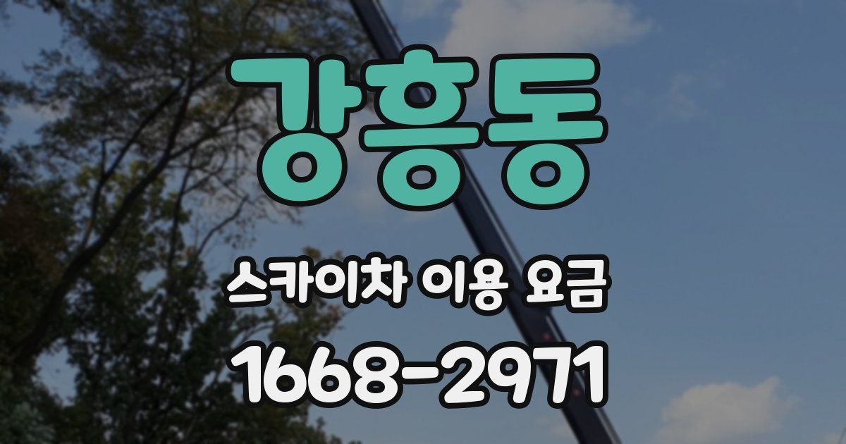 강흥동 스카이차 이용 요금
