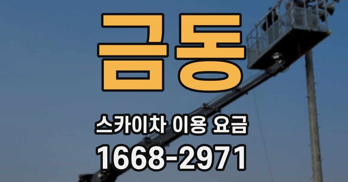 금동 스카이차 이용 요금