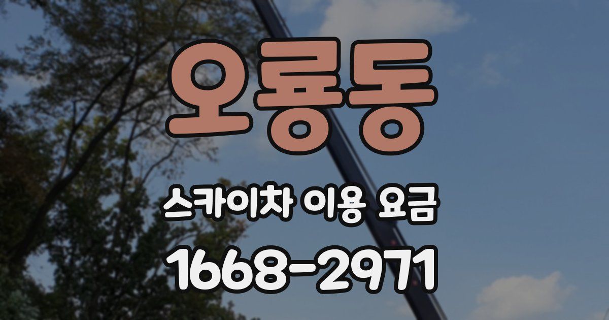 오룡동 스카이차 이용 요금