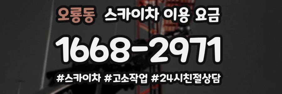 오룡동 스카이차 이용 요금