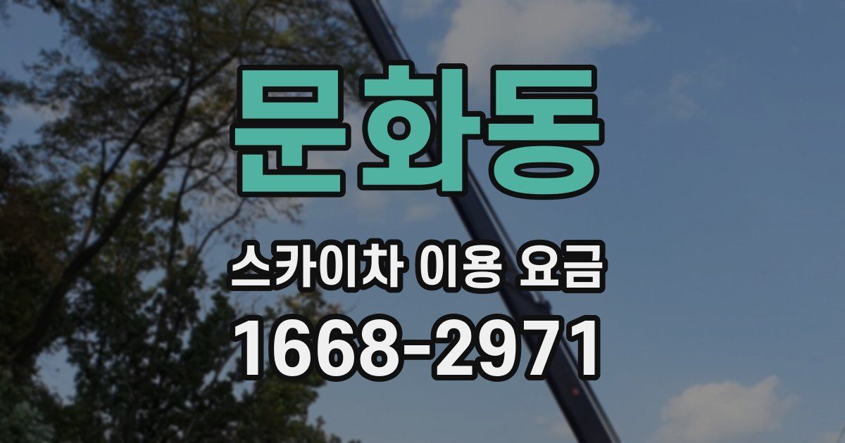 문화동 스카이차 이용 요금