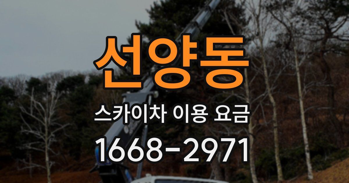 선양동 스카이차 이용 요금