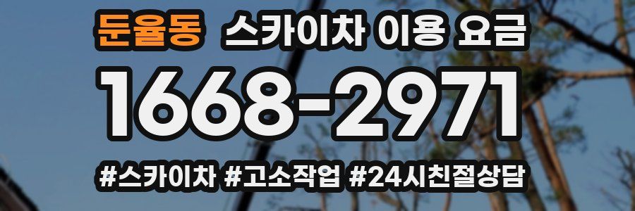 둔율동 스카이차 이용 요금