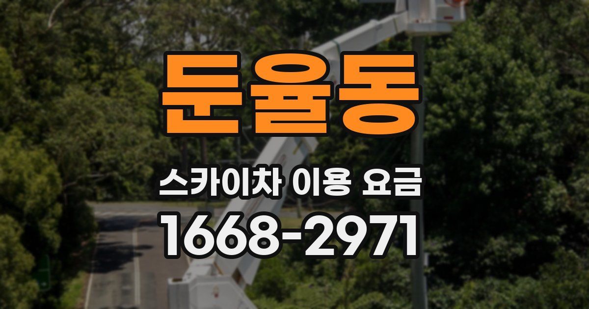 둔율동 스카이차 이용 요금