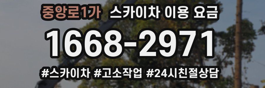 중앙로1가 스카이차 이용 요금