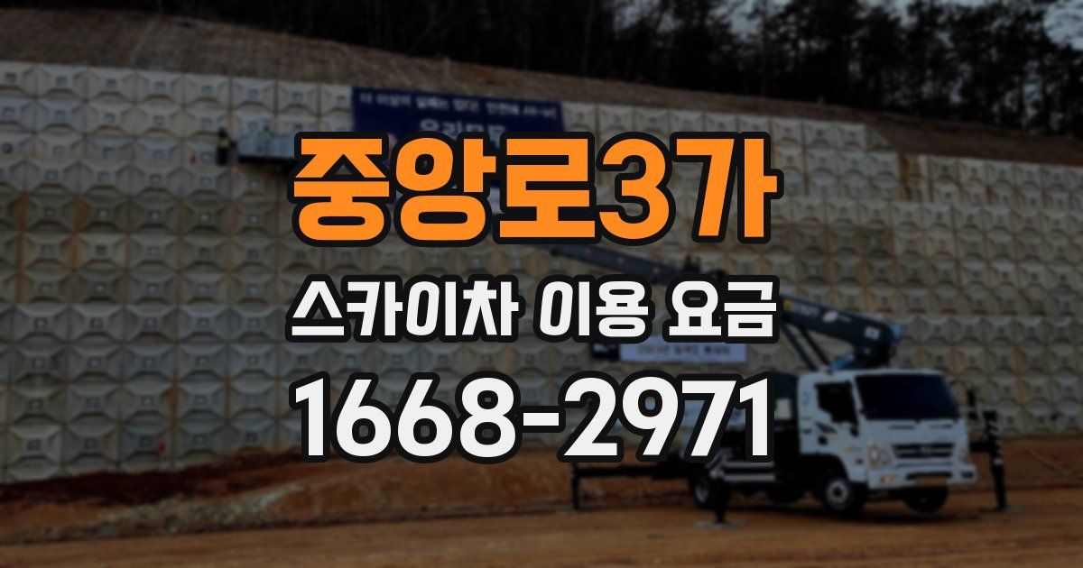 중앙로3가 스카이차 이용 요금