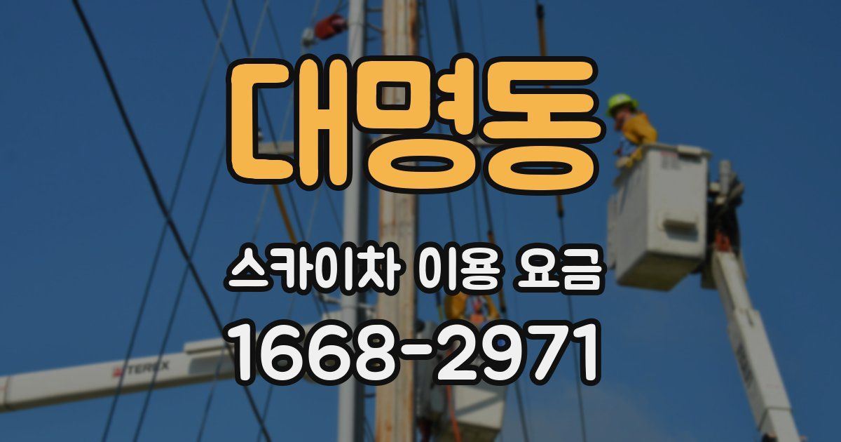 대명동 스카이차 이용 요금