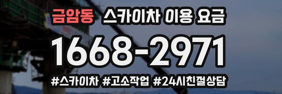 금암동 스카이차 이용 요금