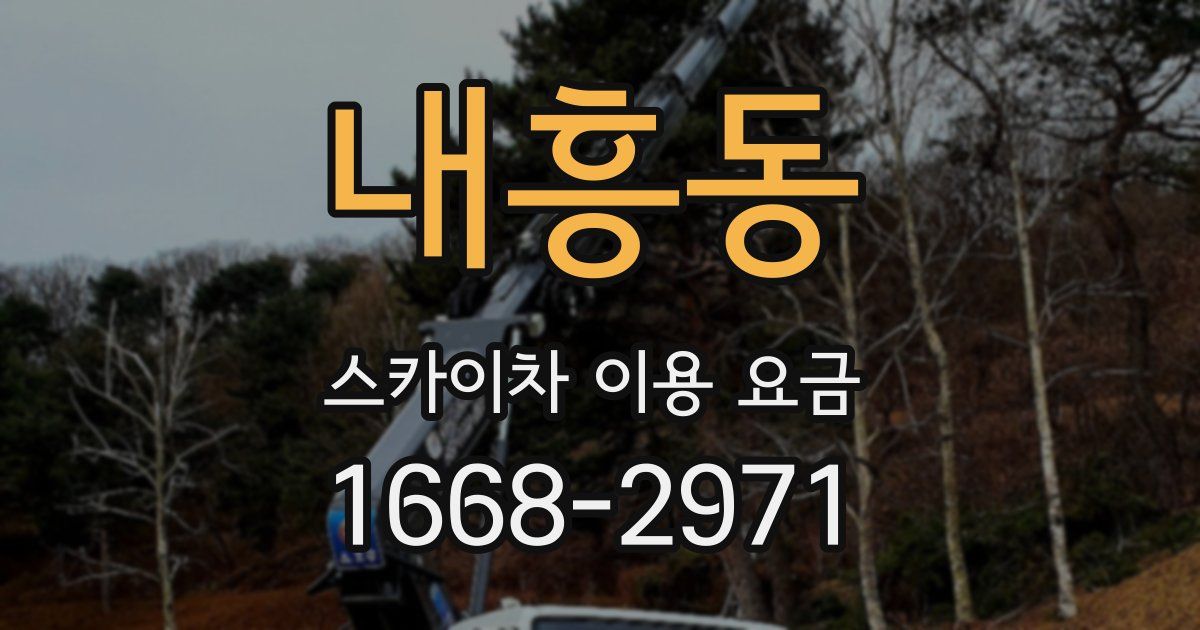 내흥동 스카이차 이용 요금