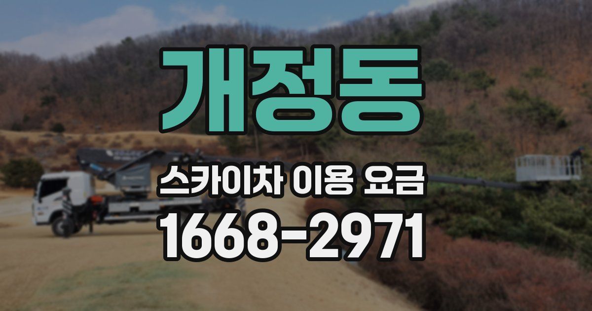 개정동 스카이차 이용 요금