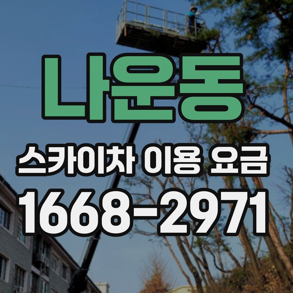 나운동 스카이차 이용 요금 비교 후 결정할 때 고려할 점
