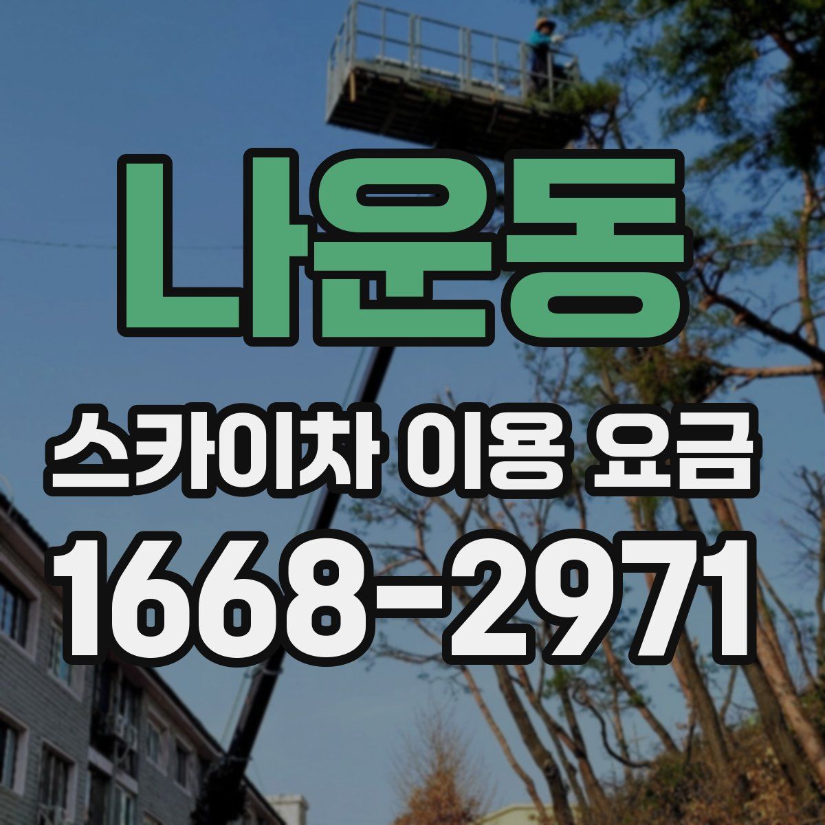 나운동 스카이차 이용 요금