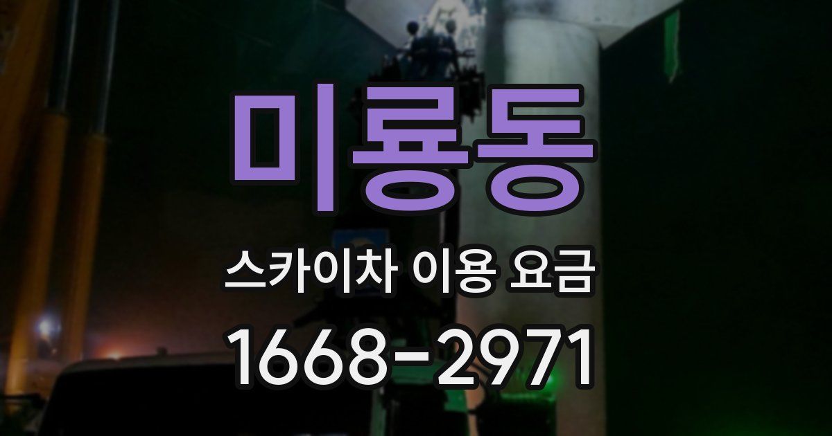 미룡동 스카이차 이용 요금