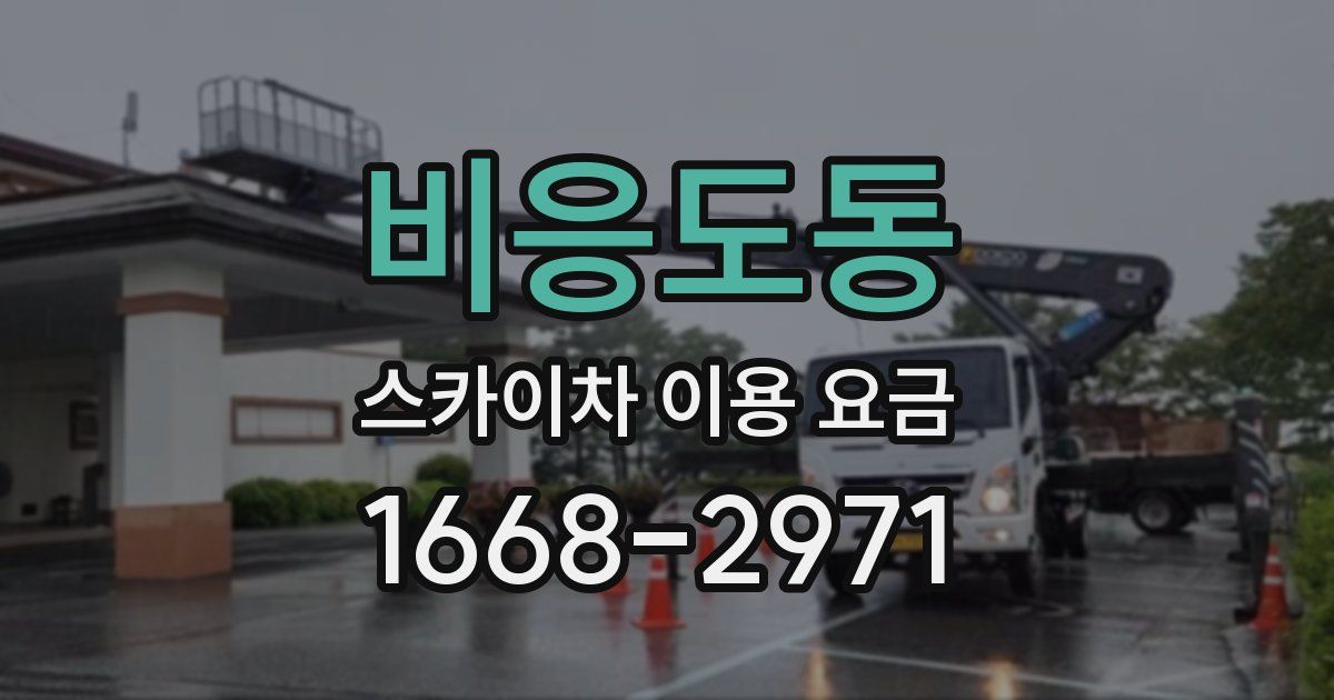 비응도동 스카이차 이용 요금