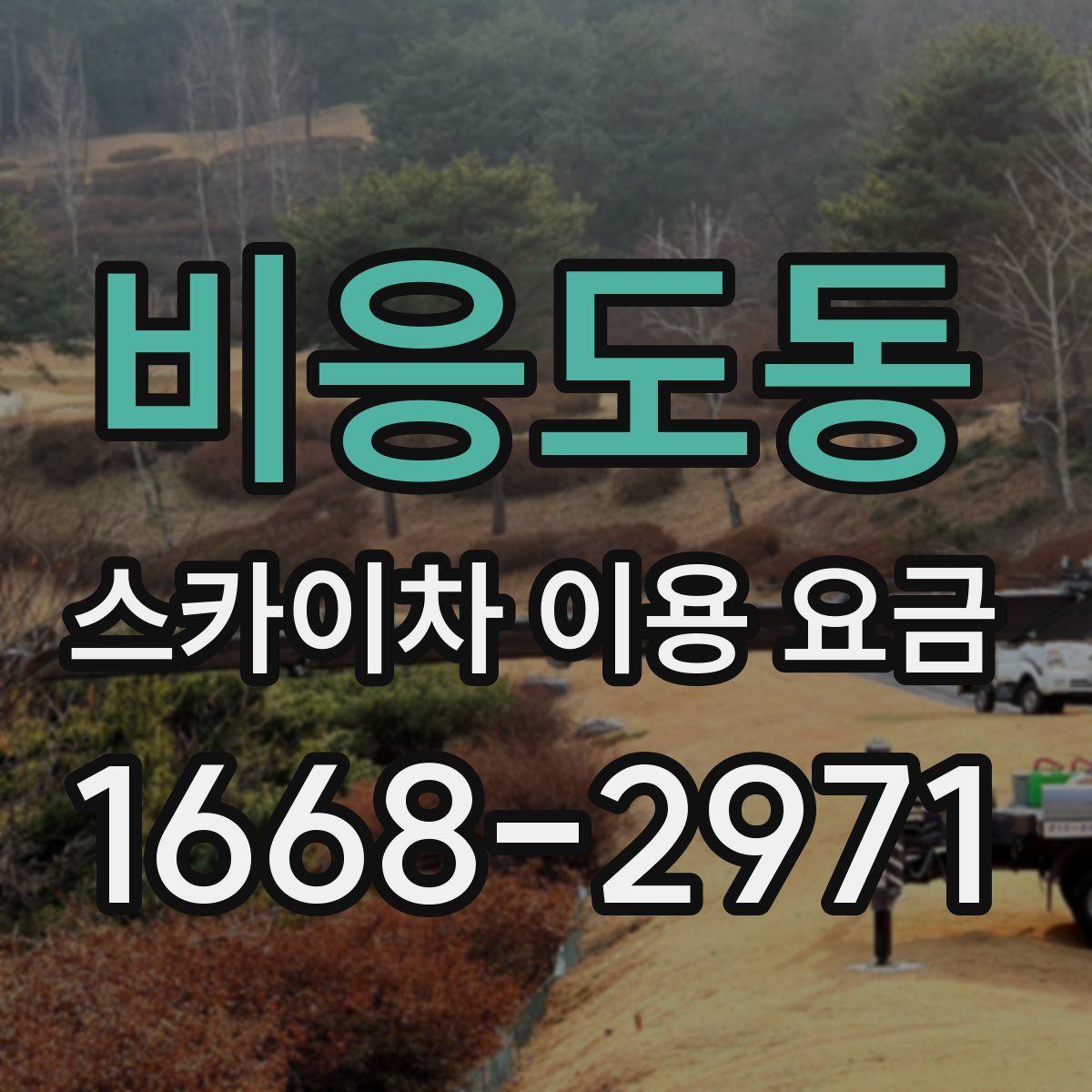 비응도동 스카이차 이용 요금