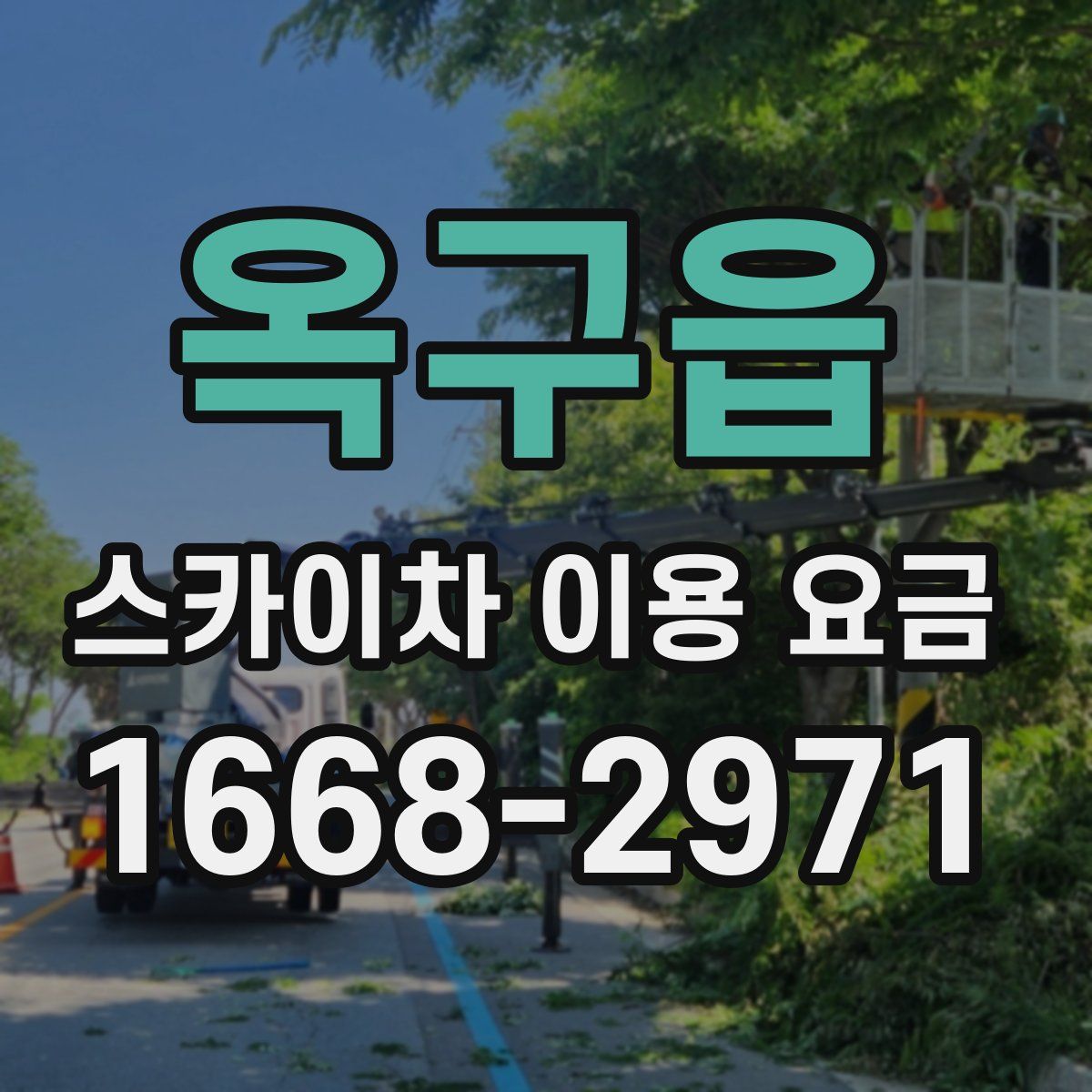 옥구읍 스카이차 이용 요금