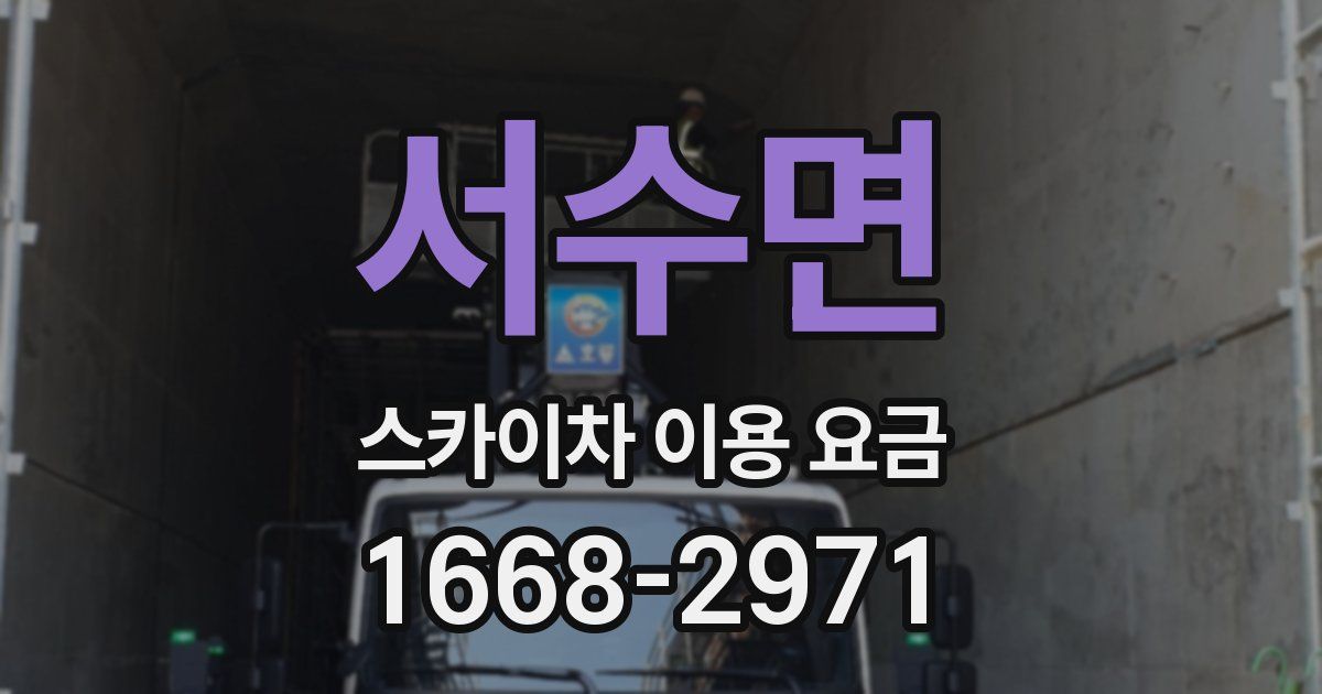 서수면 스카이차 이용 요금
