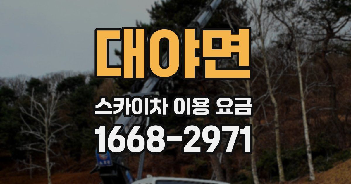 대야면 스카이차 이용 요금