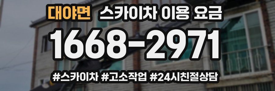 대야면 스카이차 이용 요금