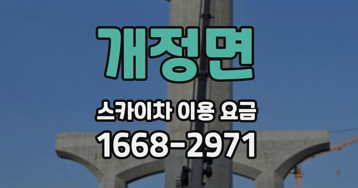 개정면 스카이차 이용 요금