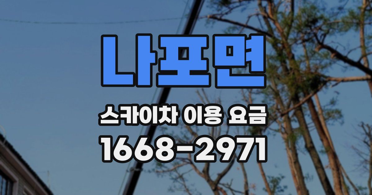 나포면 스카이차 이용 요금