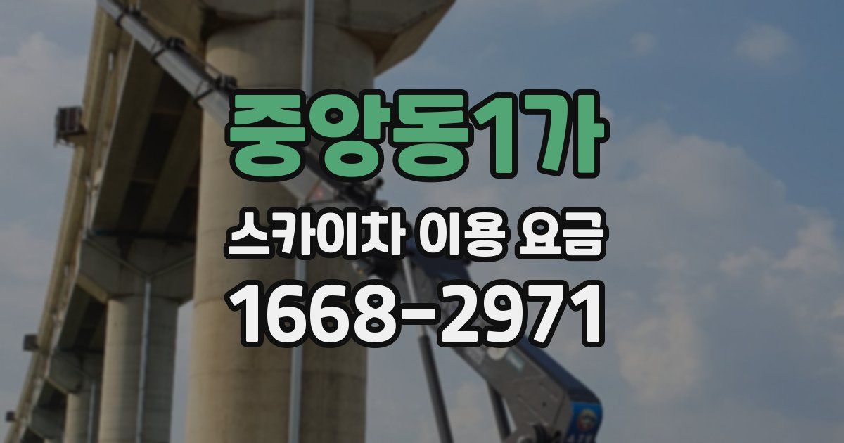 중앙동1가 스카이차 이용 요금