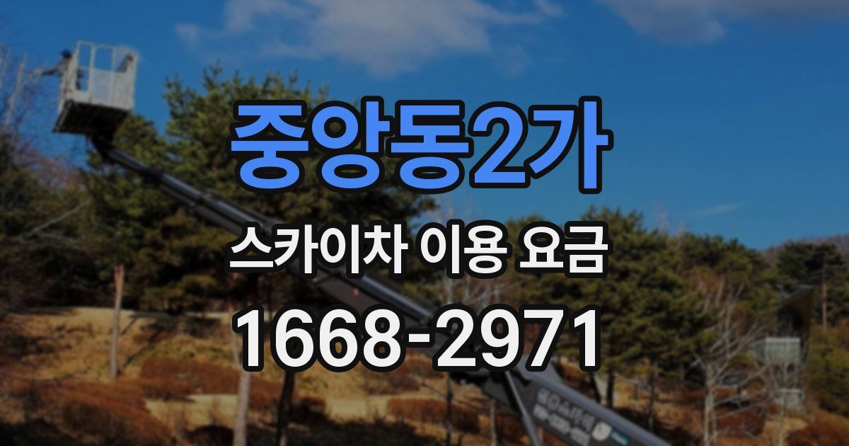 중앙동2가 스카이차 이용 요금