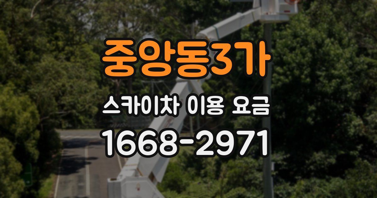중앙동3가 스카이차 이용 요금