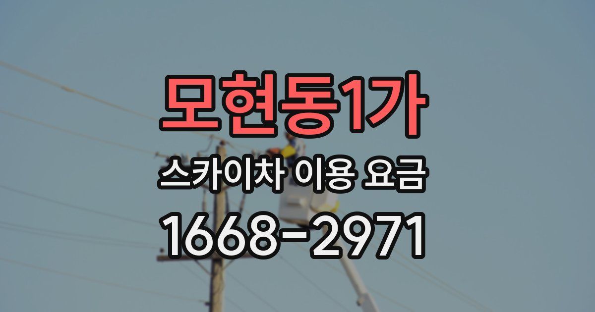 모현동1가 스카이차 이용 요금