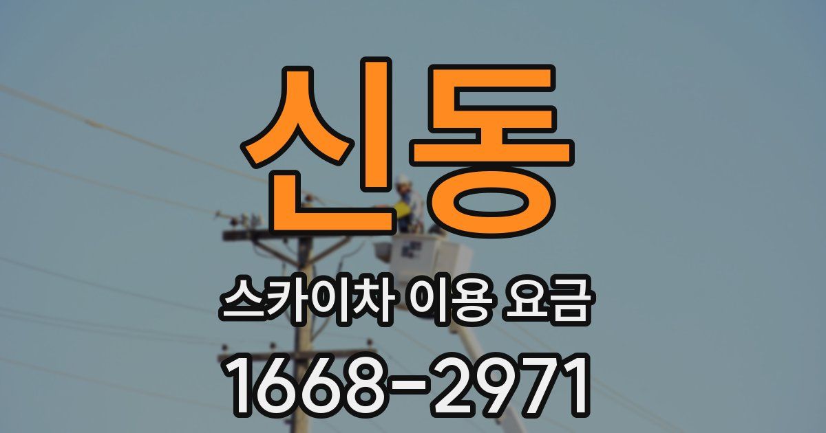 신동 스카이차 이용 요금