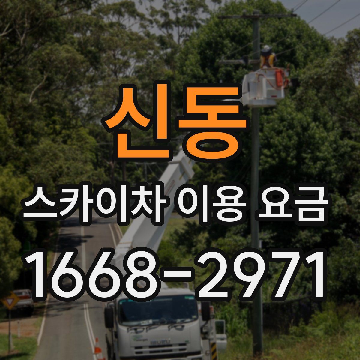 신동 스카이차 이용 요금