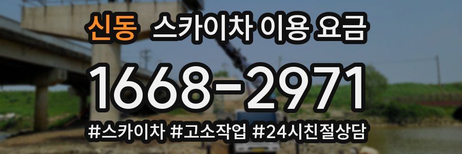 신동 스카이차 이용 요금