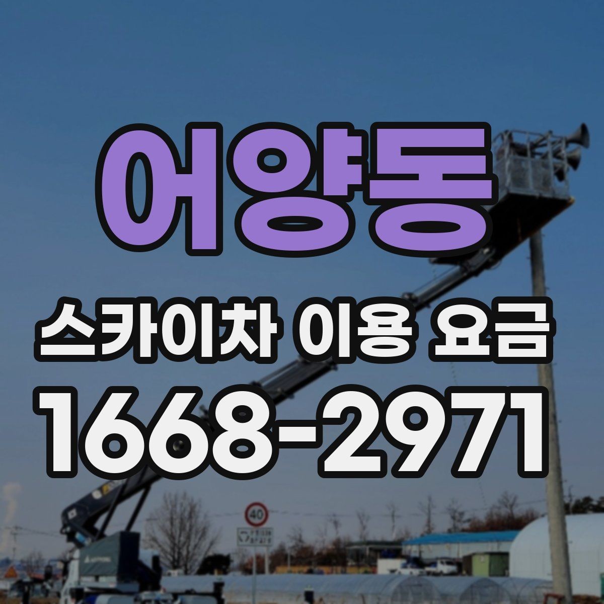 어양동 스카이차 이용 요금 문의 시 꼭 필요한 정보 목록