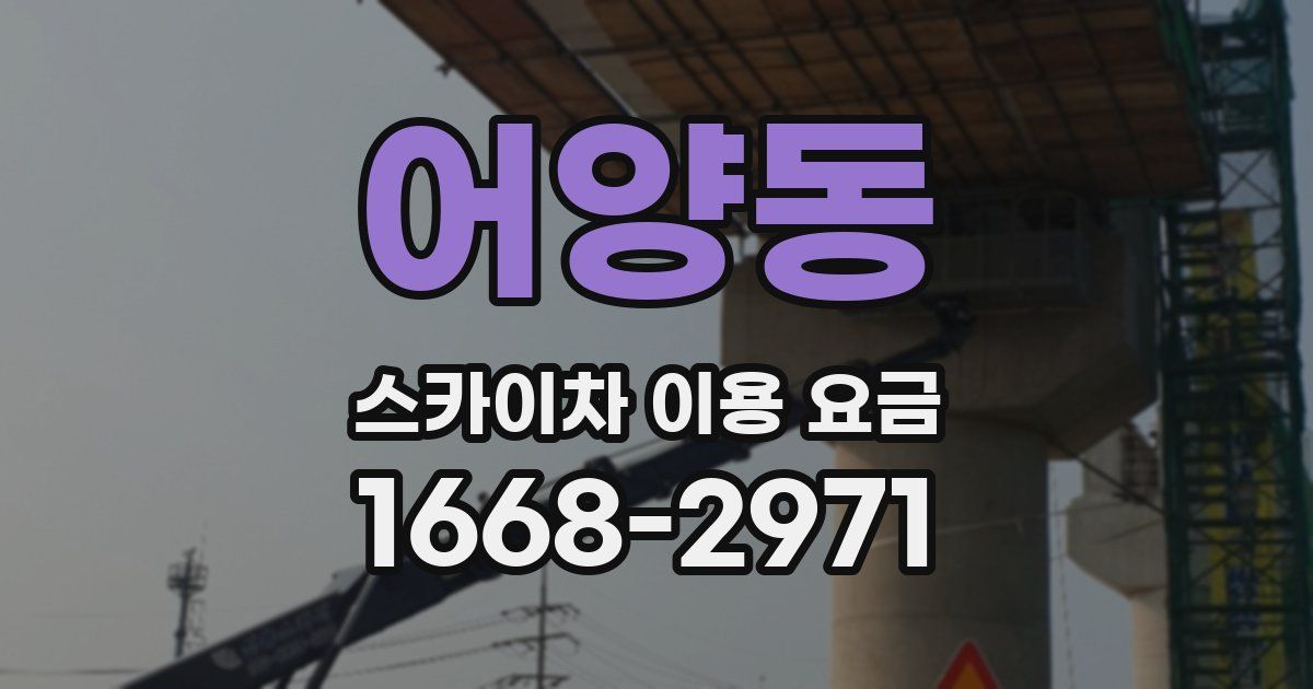 어양동 스카이차 이용 요금