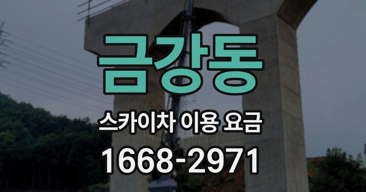 금강동 스카이차 이용 요금
