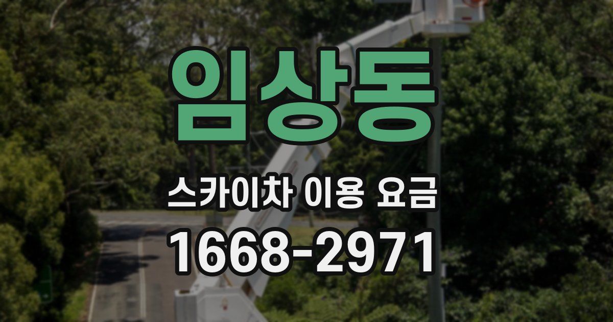 임상동 스카이차 이용 요금