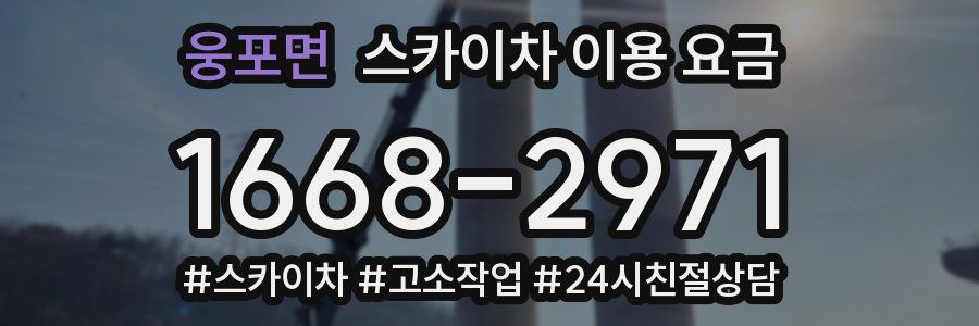 웅포면 스카이차 이용 요금