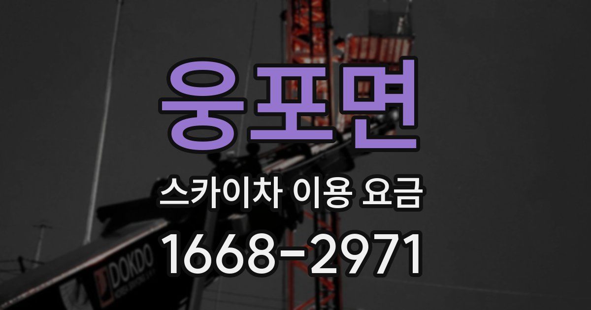 웅포면 스카이차 이용 요금