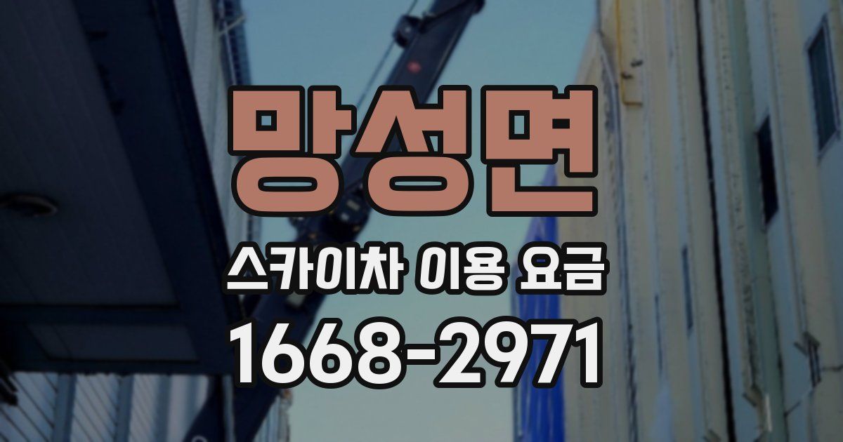 망성면 스카이차 이용 요금