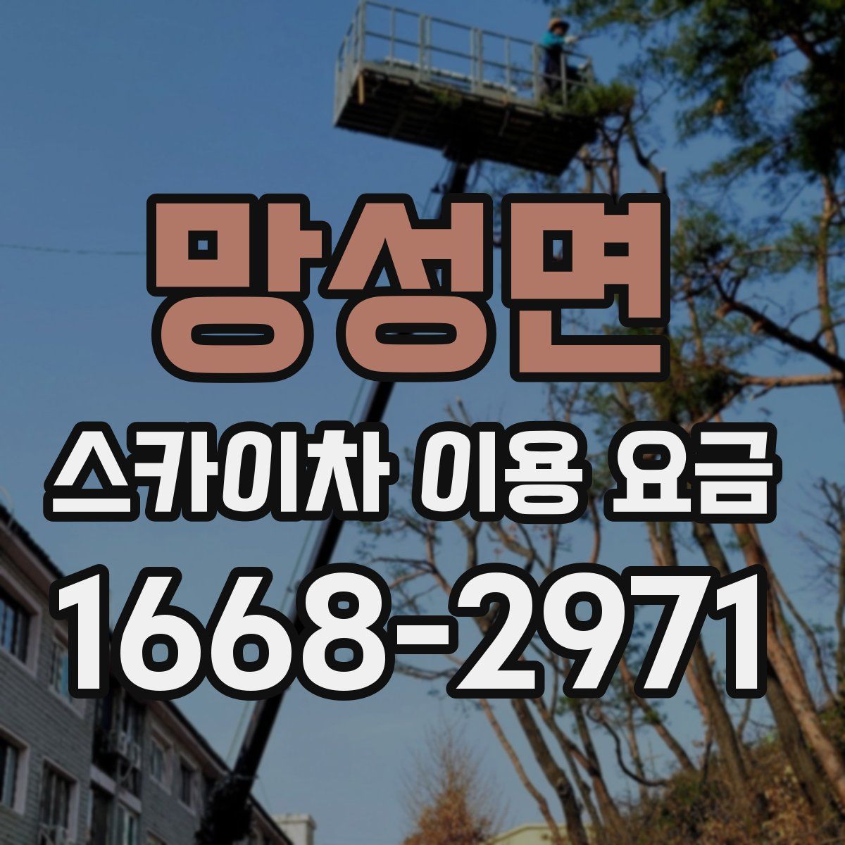 망성면 스카이차 이용 요금