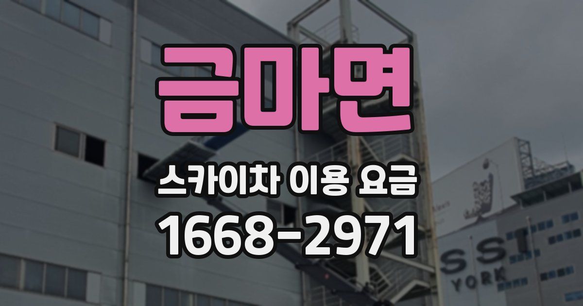 금마면 스카이차 이용 요금