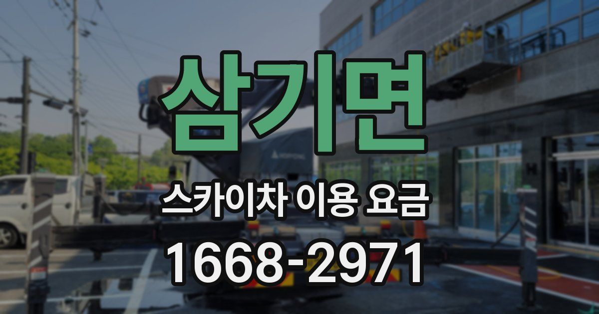 삼기면 스카이차 이용 요금