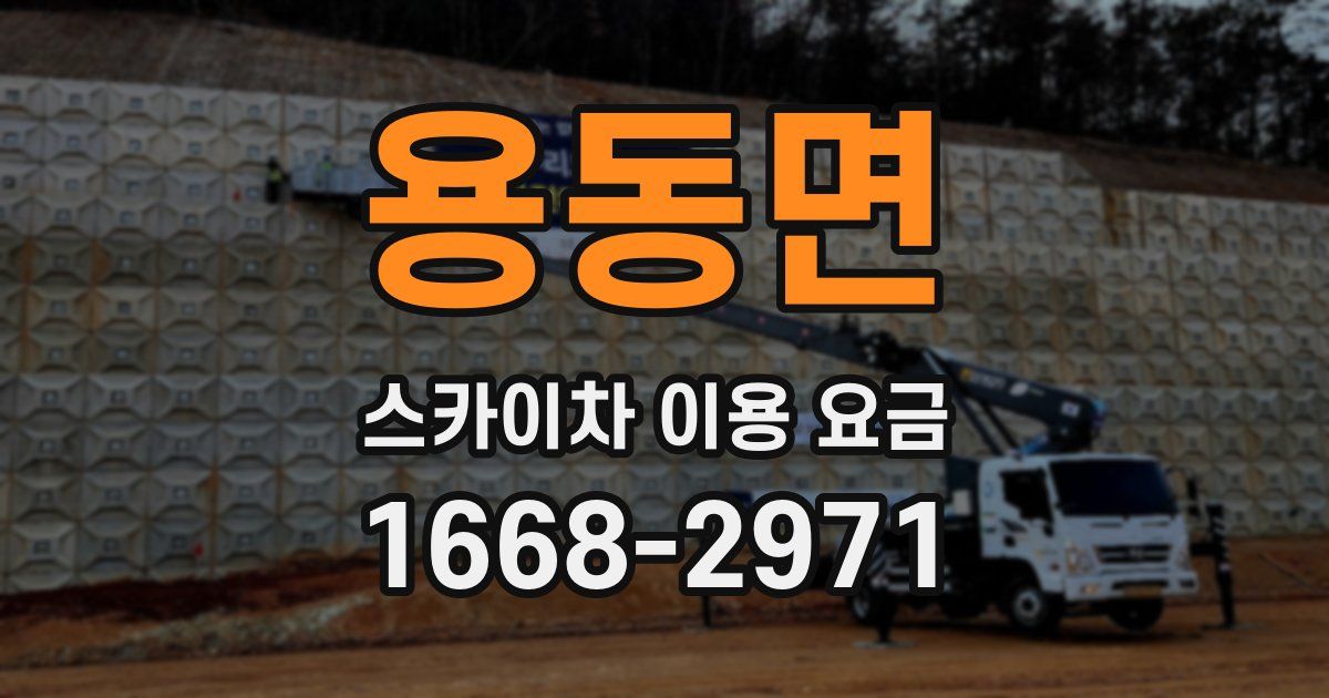 용동면 스카이차 이용 요금